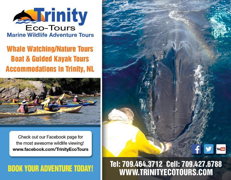 Trinity Eco-Tours Lodge Exterior foto